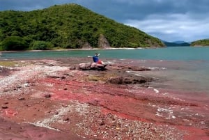 Hong Kong: Geopark Flaming Red Coast Hopping Tour