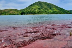 Hong Kong: Geopark Flaming Red Coast Hopping Tour