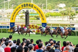 Tour guidato dell'ippodromo del Jockey Club di Hong Kong con cibo e bevande
