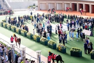 Tour guidato dell'ippodromo del Jockey Club di Hong Kong con cibo e bevande