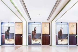 Tour guidato dell'ippodromo del Jockey Club di Hong Kong con cibo e bevande