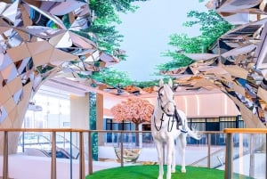 Tour premium dell'ippodromo di Shatin del Jockey Club di Hong Kong