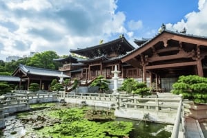 Hong Kong: tour per gruppi piccoli tra i templi e i mercati di Kowloon
