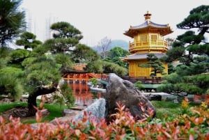 Hong Kong: tour per gruppi piccoli tra i templi e i mercati di Kowloon