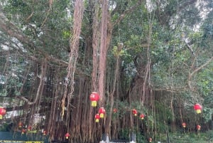 Hongkong: Lai Chi Wo Village och Hakka Culture Tour
