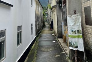Hongkong: Lai Chi Wo Village och Hakka Culture Tour