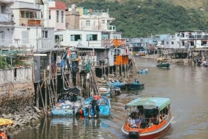 Hong Kong: tour di Lantau, Big Buddha e Tai O con pullman privato