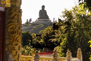 Hong Kong: tour di Lantau, Big Buddha e Tai O con pullman privato