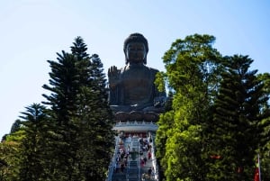 Hong Kong: tour di Lantau, Big Buddha e Tai O con pullman privato