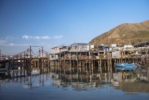 Hong Kong: tour di Lantau, Big Buddha e Tai O con pullman privato