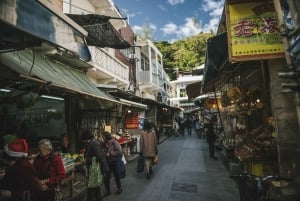 Hong Kong: tour di Lantau, Big Buddha e Tai O con pullman privato