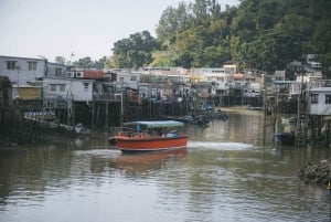 Hong Kong: tour di Lantau, Big Buddha e Tai O con pullman privato