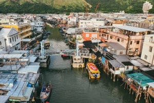 Hong Kong: tour di Lantau, Big Buddha e Tai O con pullman privato