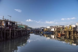 Hong Kong: tour di Lantau, Big Buddha e Tai O con pullman privato