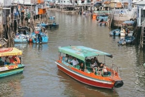 Hong Kong: tour di Lantau, Big Buddha e Tai O con pullman privato