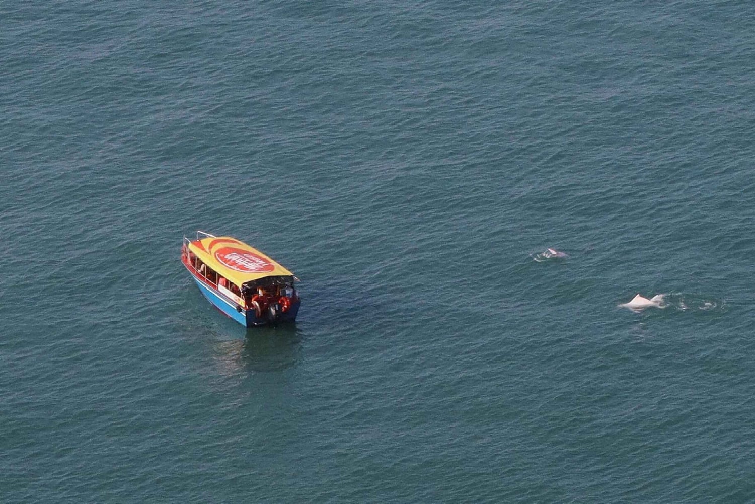 Hong Kong: Lantau Island Tour Cable Car & Village Lunch