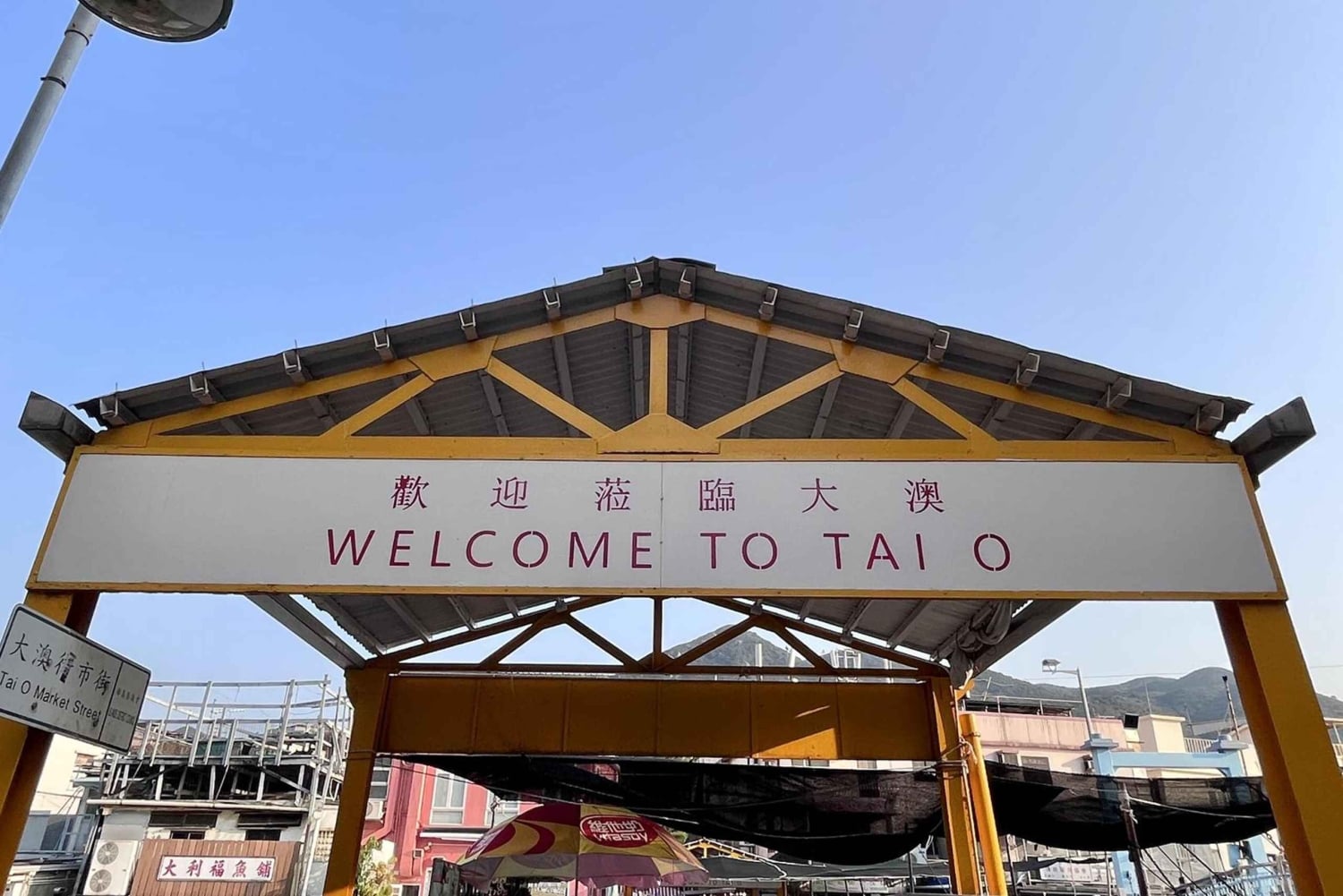 Hong Kong: Lantau Island Tour Cable Car & Village Lunch