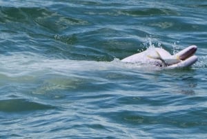 Hong Kong: Lantau Island Tour Cable Car & Village Lunch