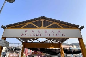 Hong Kong: Lantau Island Tour Cable Car & Village Lunch