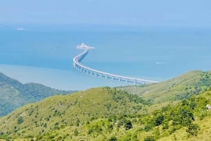 Hong Kong: Lantau Island Tour Cable Car & Village Lunch