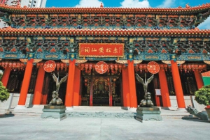 Hong Kong: Teleférico VIP Prioritário de Lantau, Grande Buda e Tai O