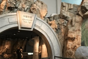 Hong Kong : visite guidée du musée d'histoire avec billet d'entrée
