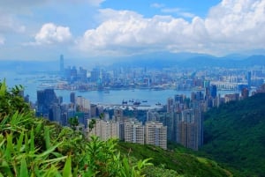 Hong Kong Must-See attractions Walking Tour With A Guide