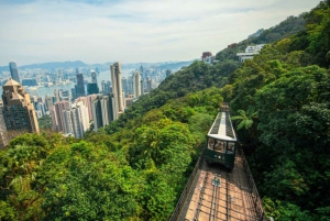 Hong Kong: Night Walking Tour, Tram Ride, & Victoria Peak