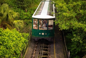 Hong Kong: Night Walking Tour, Tram Ride, & Victoria Peak