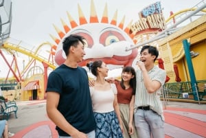 Hong Kong: Ocean Park Entry & Big Bus Hop-on Hop-off Tour