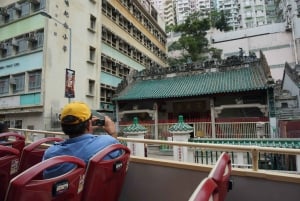 Hong Kong: Ocean Park Entry & Big Bus Hop-on Hop-off Tour