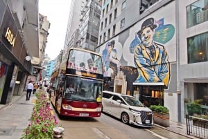 Hong Kong: Ocean Park Entry & Big Bus Hop-on Hop-off Tour