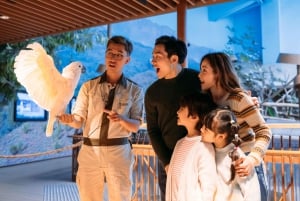 Hong Kong: Ocean Park Entry & Big Bus Hop-on Hop-off Tour