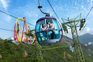 Hong Kong: Inngang til Ocean Park og Hop-on Hop-off-tur med stor buss
