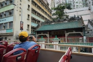 Hong Kong: Inngang til Ocean Park og Hop-on Hop-off-tur med stor buss