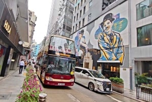 Hong Kong: Inngang til Ocean Park og Hop-on Hop-off-tur med stor buss