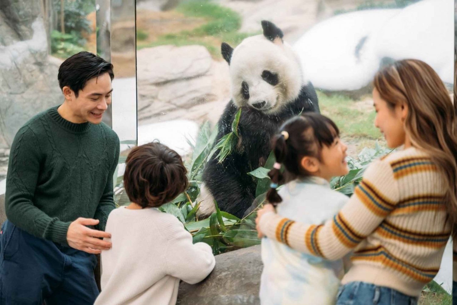 Hong Kong: Inträdesbiljett till Ocean Park + måltid i lokal stil