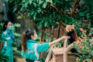 Hong Kong: Ocean Park Entry Ticket + Local Style Set Meal