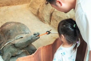 Hong Kong: Ocean Park Entry Ticket + Local Style Set Meal