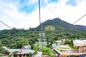 Hong Kong: Ocean Park Entry Ticket + Local Style Set Meal