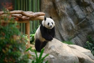 Hong Kong: Ocean Park Entry Ticket + OceanFasTrack Pass
