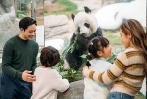 Hongkong: Inträdesbiljett till Ocean Park med fast meny eller popcorn