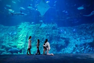 Hongkong: Inträdesbiljett till Ocean Park med fast meny eller popcorn