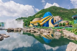 Hongkong: Inträdesbiljett till Ocean Park med fast meny eller popcorn