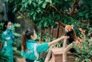 Hongkong: Inträdesbiljett till Ocean Park med fast meny eller popcorn