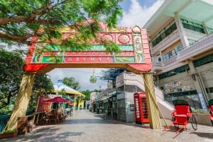 Hongkong: Inträdesbiljett till Ocean Park Panda Visit med transfer