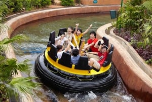 Hongkong: Inträdesbiljett till Ocean Park Panda Visit med transfer