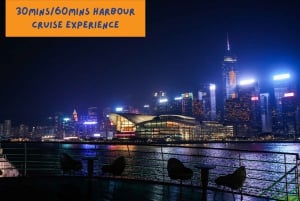 Hong Kong: Oriental Pearl Night Bar & Sightseeing Experience