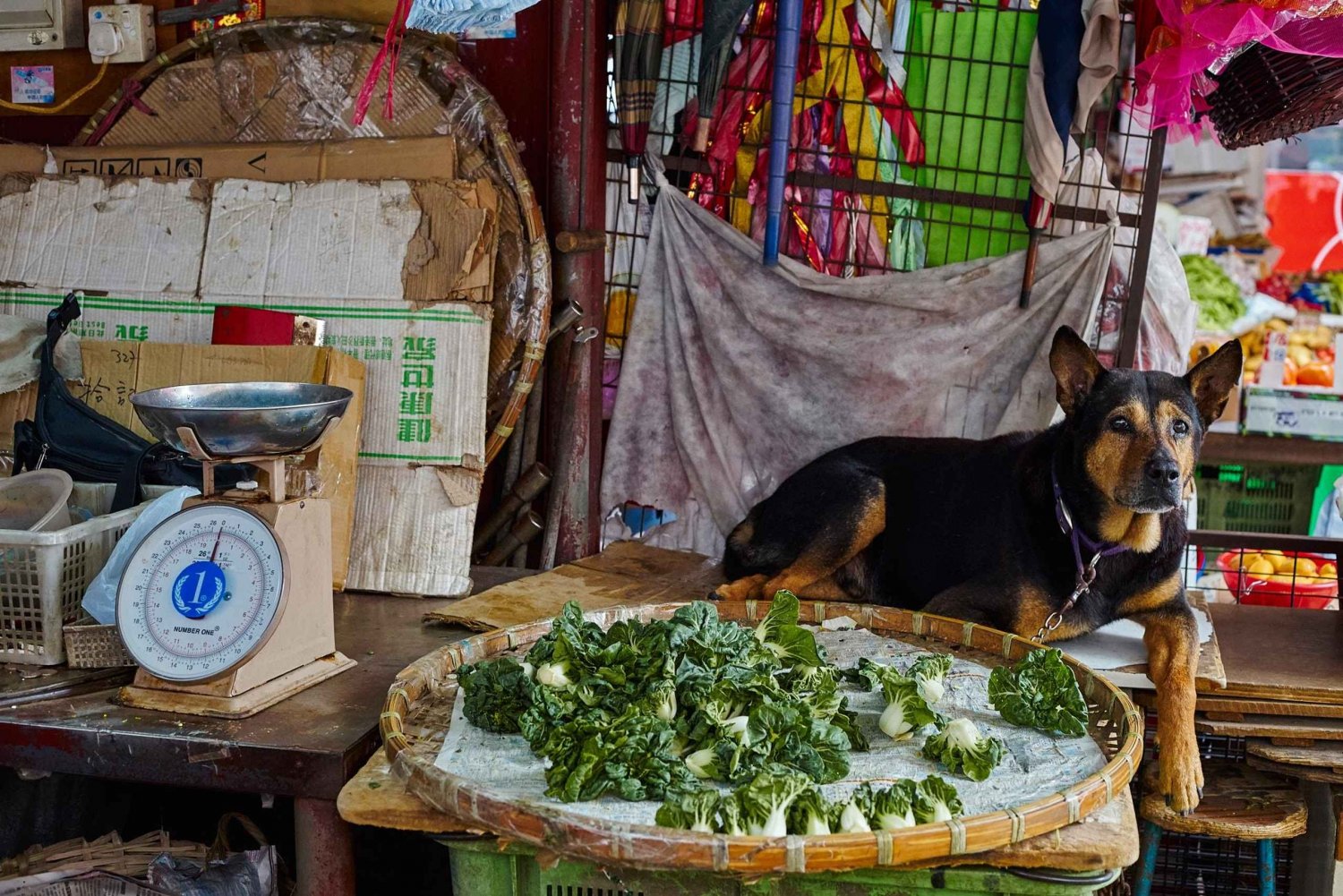 Hong Kong: photographic tour of Kowloon's Yau Tsim Mong district.