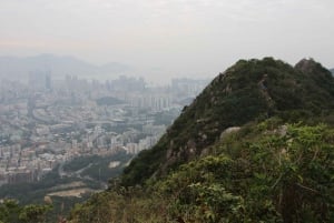Hong Kong : Visite privée avec un guide régional